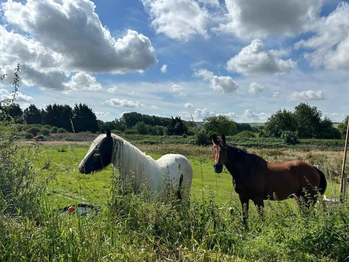 斯卡伯勒 Roe Deer Meadow At Carr House Farm酒店 外观 照片